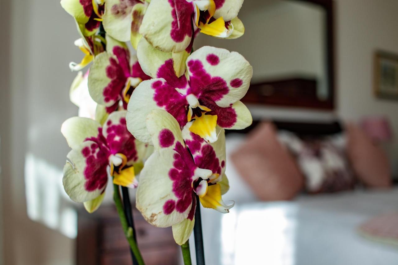 Guest house Carmichael House Boutique Cape Town