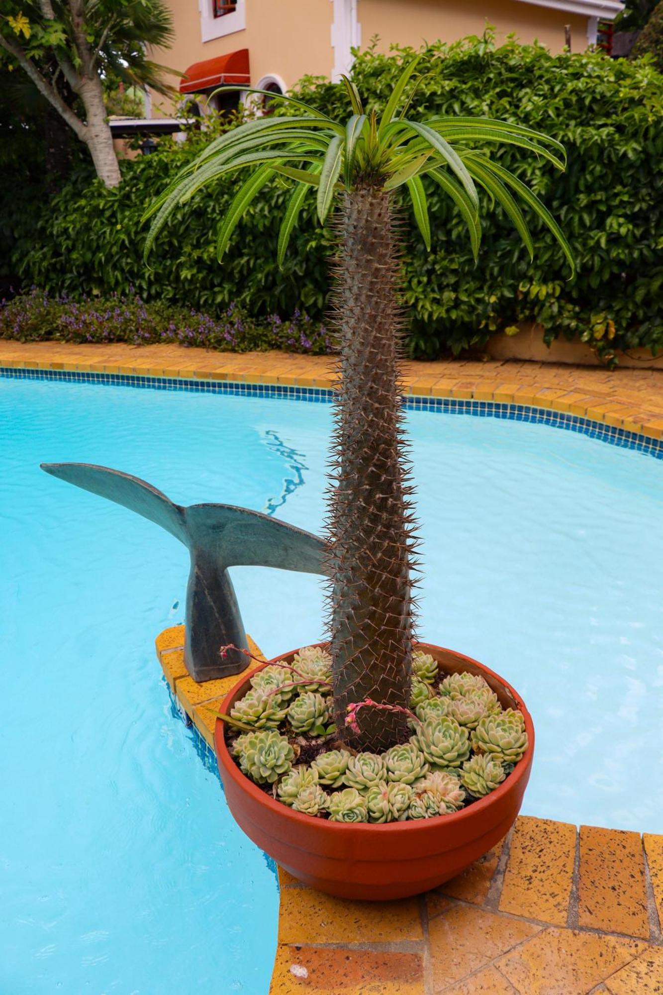 Guest house Carmichael House Boutique Cape Town