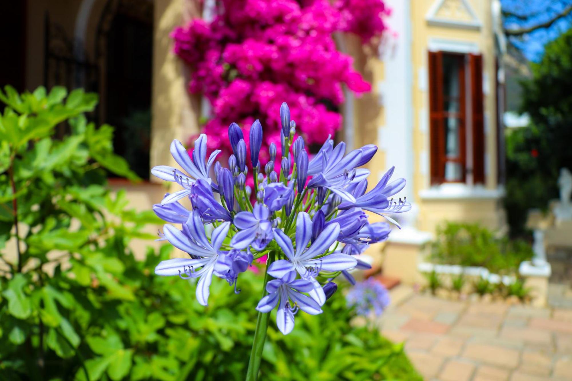Carmichael House Boutique 4*